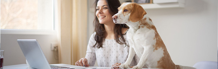 DELIVERY MANAGER m/w/d Home-office-Mglichkeit
